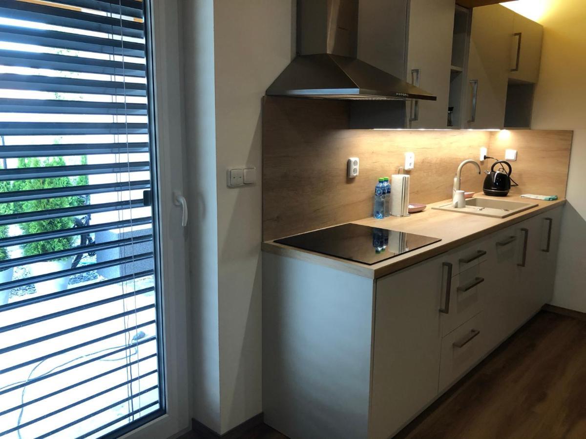 Anico Apartmany Dolni Benesov Ngoại thất bức ảnh